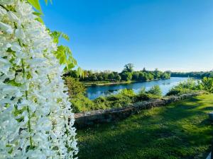 Maisons de vacances Gite 