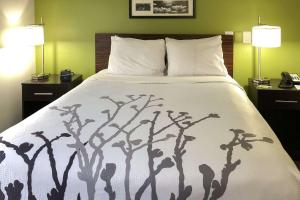 Superior Queen Room - Disability Access/Non-Smoking room in Sleep Inn McDonough