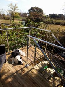 Maisons d'hotes Gite 