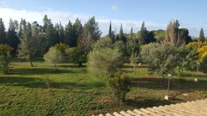 Villa nel verde img16