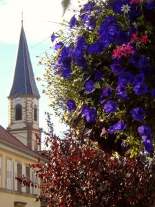 Maisons de vacances Maison de 2 chambres avec jardin clos et wifi a Stotzheim : photos des chambres