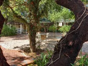 艾温德斯旅馆 - 格拉夫-里内特