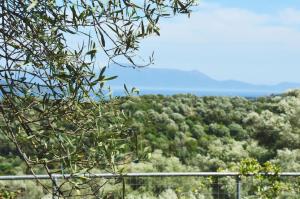 House Callistemon Lefkada Greece