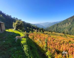 Bursol Homestay by StayApart