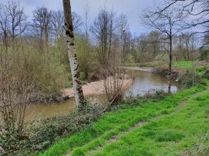 Chalets Camping du Puy Rond : photos des chambres