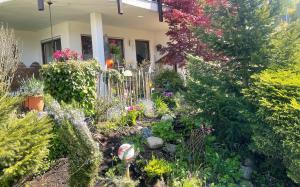 Ferienwohnung Angelika