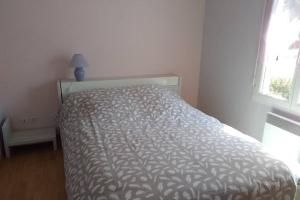 Le Lizard, un gîte pour vos passions nature