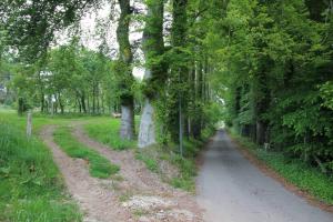 Maisons de vacances Sauna et jacuzzi - Les mille et une nuits - 2km mer : photos des chambres