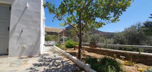 Love Nest Sifnos Greece