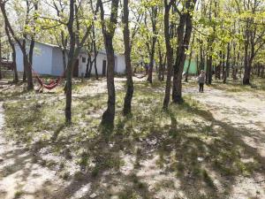 Бунгала Дъбрава