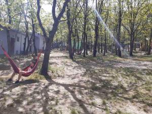 Бунгала Дъбрава