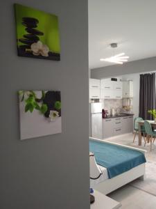 Studio Timeea Mamaia-Nord