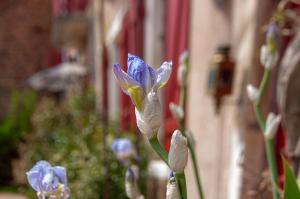 B&B / Chambres d'hotes Au Puy Des Verites : photos des chambres