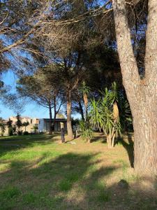 Residence Sa Pintadera img34