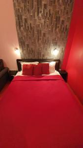 VIP Red Love house for 2