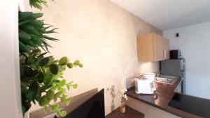 Appartements LA BIGEONNIERE Appartement 1 chambre residence avec piscine proche centre : photos des chambres