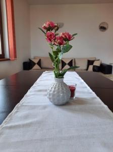 Вила Мариам Villa Mariam