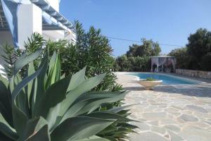 Riviera Paradise : unique vacations experience Naxos Greece