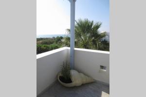 Riviera Paradise : unique vacations experience Naxos Greece