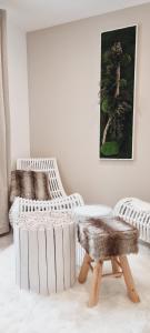 B&B / Chambres d'hotes Domaine Le Courti - Adult only : Suite Standard