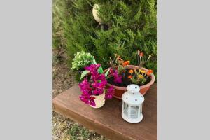 Agriturismo Il Salicchio app.Benedetta