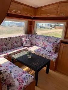 Majestat - 库兹尼卡