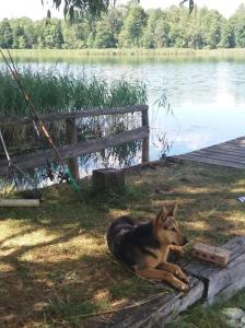 Domek na Mazurach Ełk. Rogale