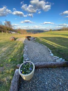 Belan Bluebell Woods Shepherds Hut