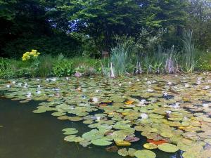 Maisons de vacances Au Jardin d'Eau : Gîte (4 Adultes)