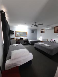 그래프턴 Civic Motel Grafton 3성급 호텔 스위트룸