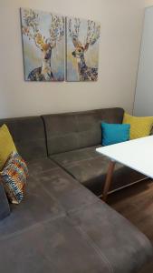 HostEx Meraki Apartment