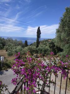 Malibu Corfu Greece