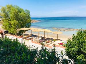 The Beachhouse Apartments Aegina Greece