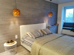 Buto nuoma Dariaus ir Girėno gatvėje