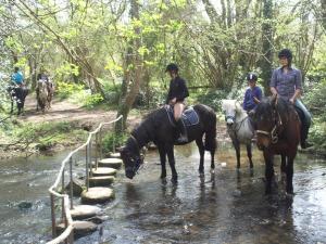 Campings Ecuries Leseigneur - Camping Insolites : photos des chambres