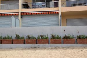 Appartements studio pieds dans l’eau : photos des chambres