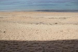 Appartements studio pieds dans l’eau : photos des chambres