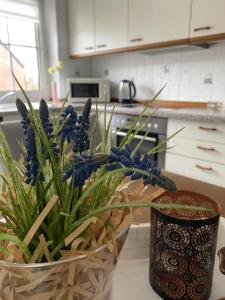 Ferienhaus am Hammrich