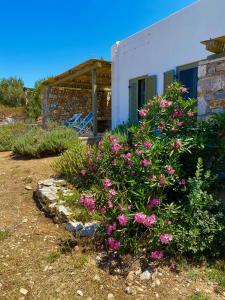 Villa Handras, 2 unità Amorgos Greece