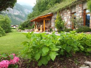 Appartamenti Donini Alfredo