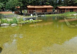 Parque Biologico de Vinhais