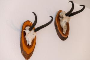 Appartements Das Charlie