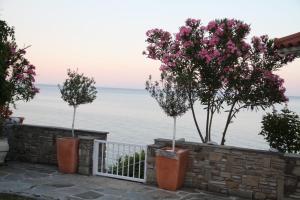 Sunrise Luxury Villa Olympos Greece