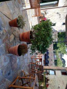 Hosteria Calixtino