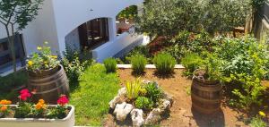 Apartament Oliva 