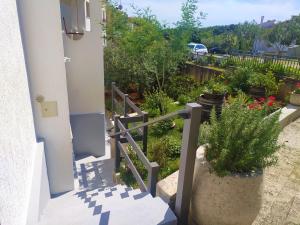 Apartament Oliva 
