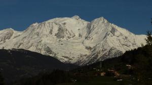 Appartements Appart en rez de jardin clos face au Mont BLANC : Appartement 2 Chambres