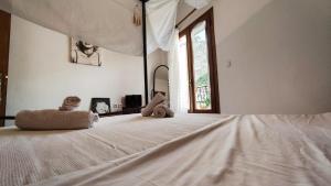 The balcony of Meteora 1 The center of kalabaka