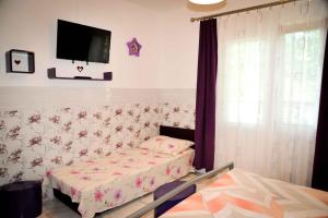 Apartments in Lopar - Insel Rab 36282