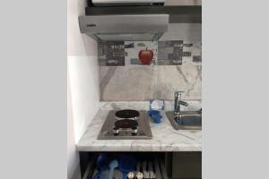 Estudio Ejec Independiente en ambiente Familiar